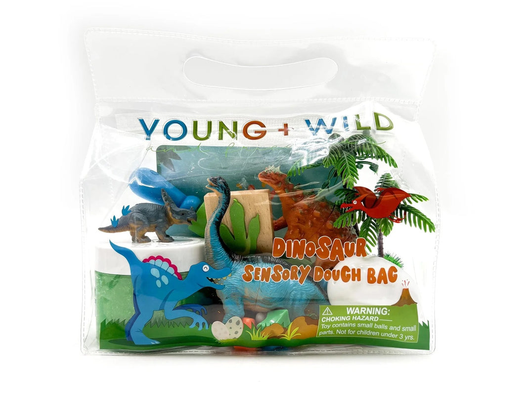 Young Wild and Friedman Sensory Dough Bag - Dinosaur
